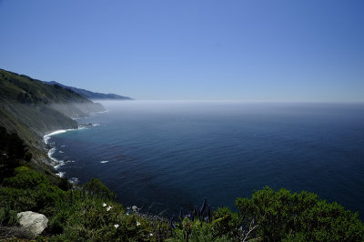 The Pacific Coastline