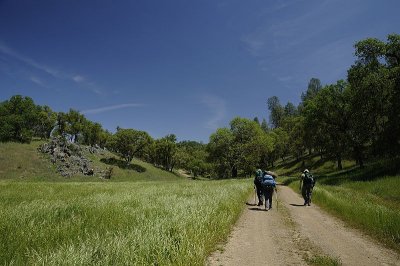 Hiking in Henry Coe State Park