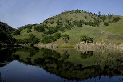 Paradise Flat Pond