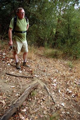 Arrow down Landing Trail