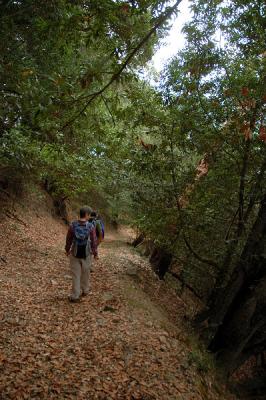 Hiking down the trail