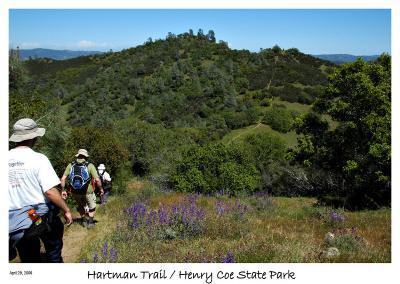 Down and Up on the Hartman trail