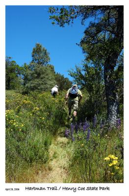 Steep Up thru the flowers