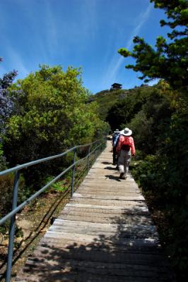 Up the short Plank Walk