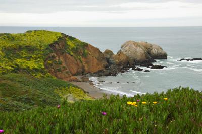 Colorful cliffs of the Marin Headlands