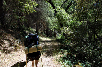 10am - Starting the Hike