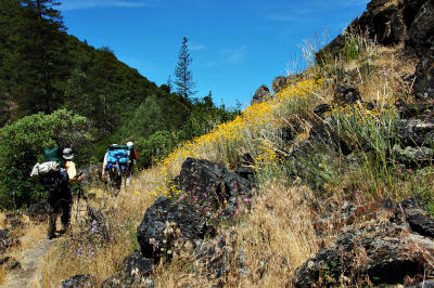 Hiking along the Wildflowers