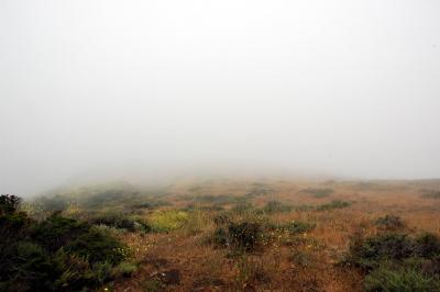 Foggy View of the Pacific Ocean