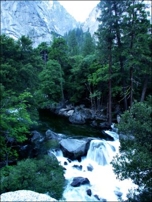 View of the Merced River from the trail