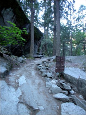 Trail Junction to the John Muir Trail