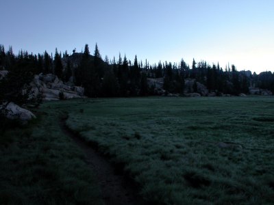 The Trail along the Meadow