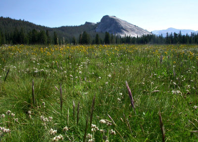 Lembert Dome