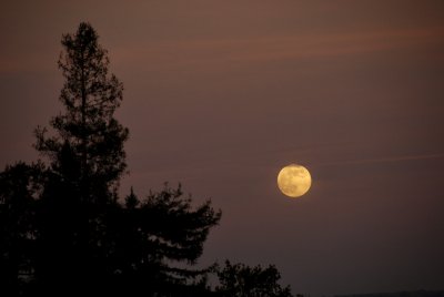 The Full Moon Rising