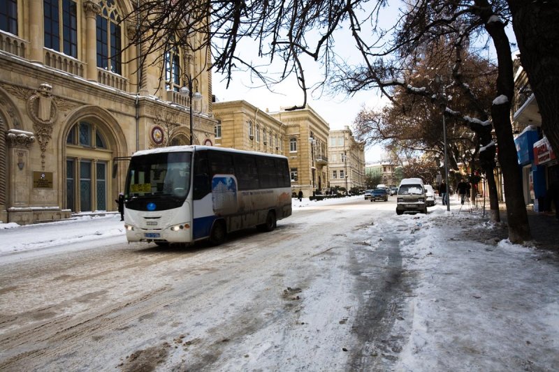 The bus
