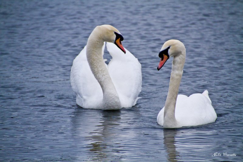 2012-01-22 London 017.JPG