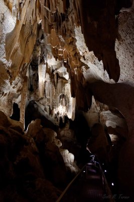 Cutta Cutta Caves Nature Park