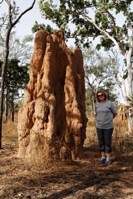 Termite mounds along the highway