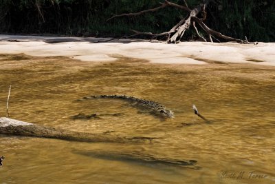 East Aligator River, Kakadu National Park