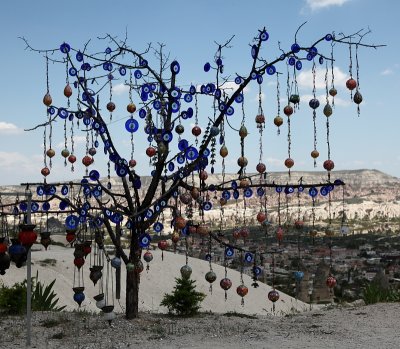 L'arbre aux yeux bleus