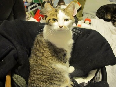 Gretel is suspicious of the camera
