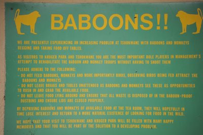 Don't make friends with a baboon!
