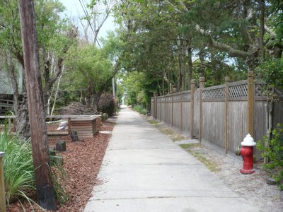 FireIsland_008.jpg
