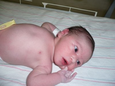 bb2007012.jpg
