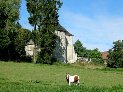 Château de Frasnay