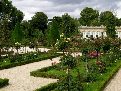 Parc de BagatelleRoseraie