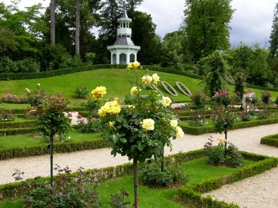 Parc de BagatelleRoseraie