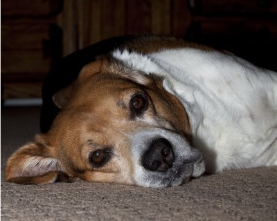 I'm too tired to play, dad.