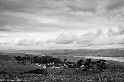 Pierce Point Ranch