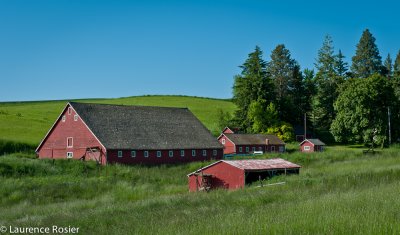 Palouse Farm