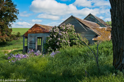 Abandoned Farmhouse