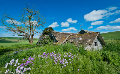 Abandoned Farmhouse