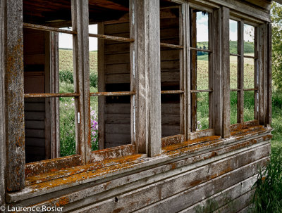 Abandoned Farmhouse