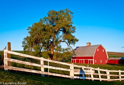 Palouse Barn