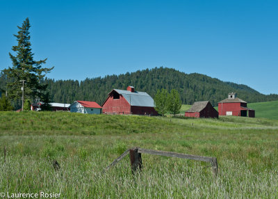 Palouse Farm