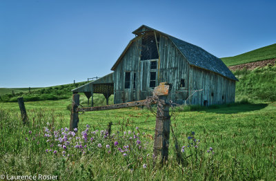 Abandoned Barn