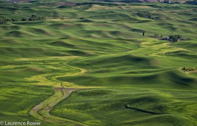 View from Steptoe Butte