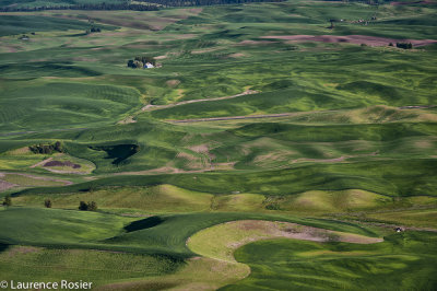 View from Steptoe Butte