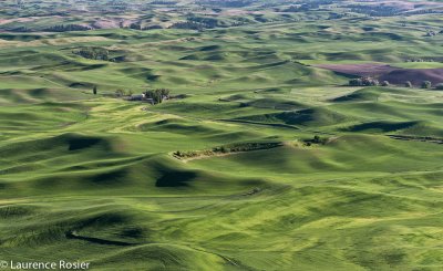 View from Steptoe Butte