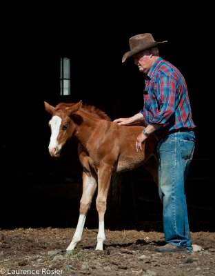Darrell Hall with Colt