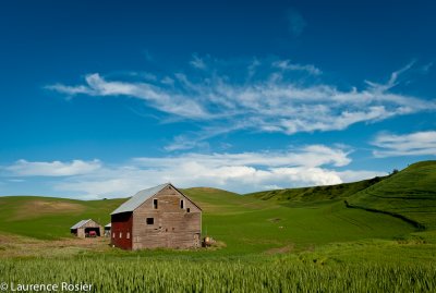 Palouse Barn