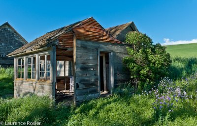 Abandoned Farmhouse