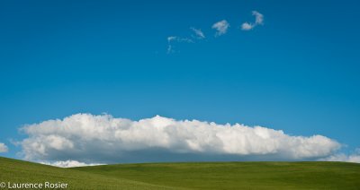 Palouse Fields