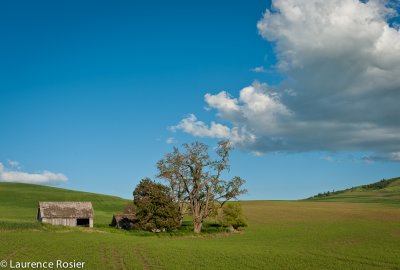 The Palouse