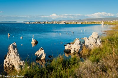 Mono Lake