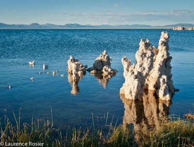 Mono Lake