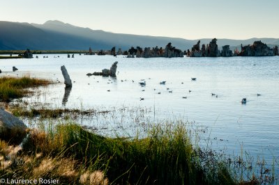 Mono Lake